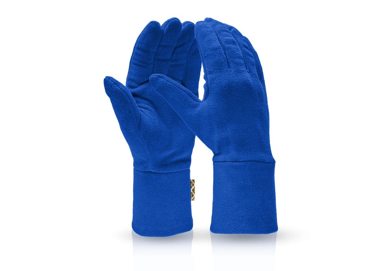 Cold: e.s. FIBERTWIN® microfleece gloves + royal