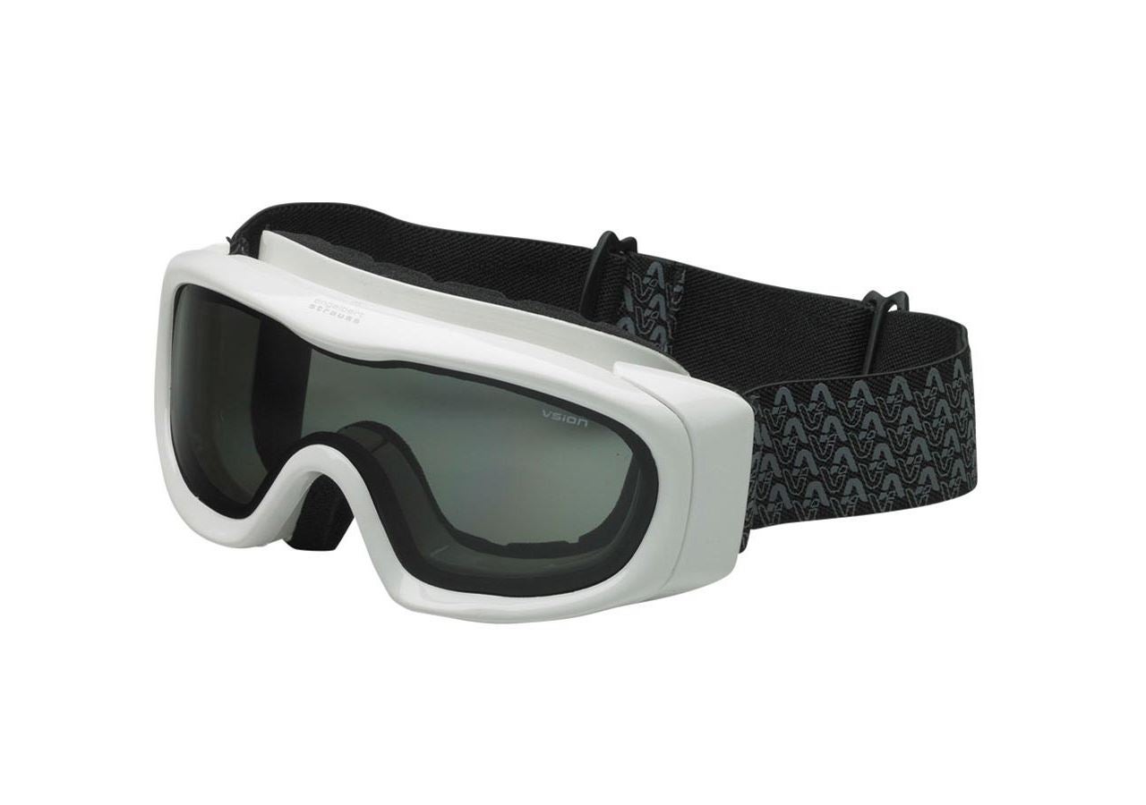 Safety Glasses: Safety glasses e.s.vision extreme + white-tinted
