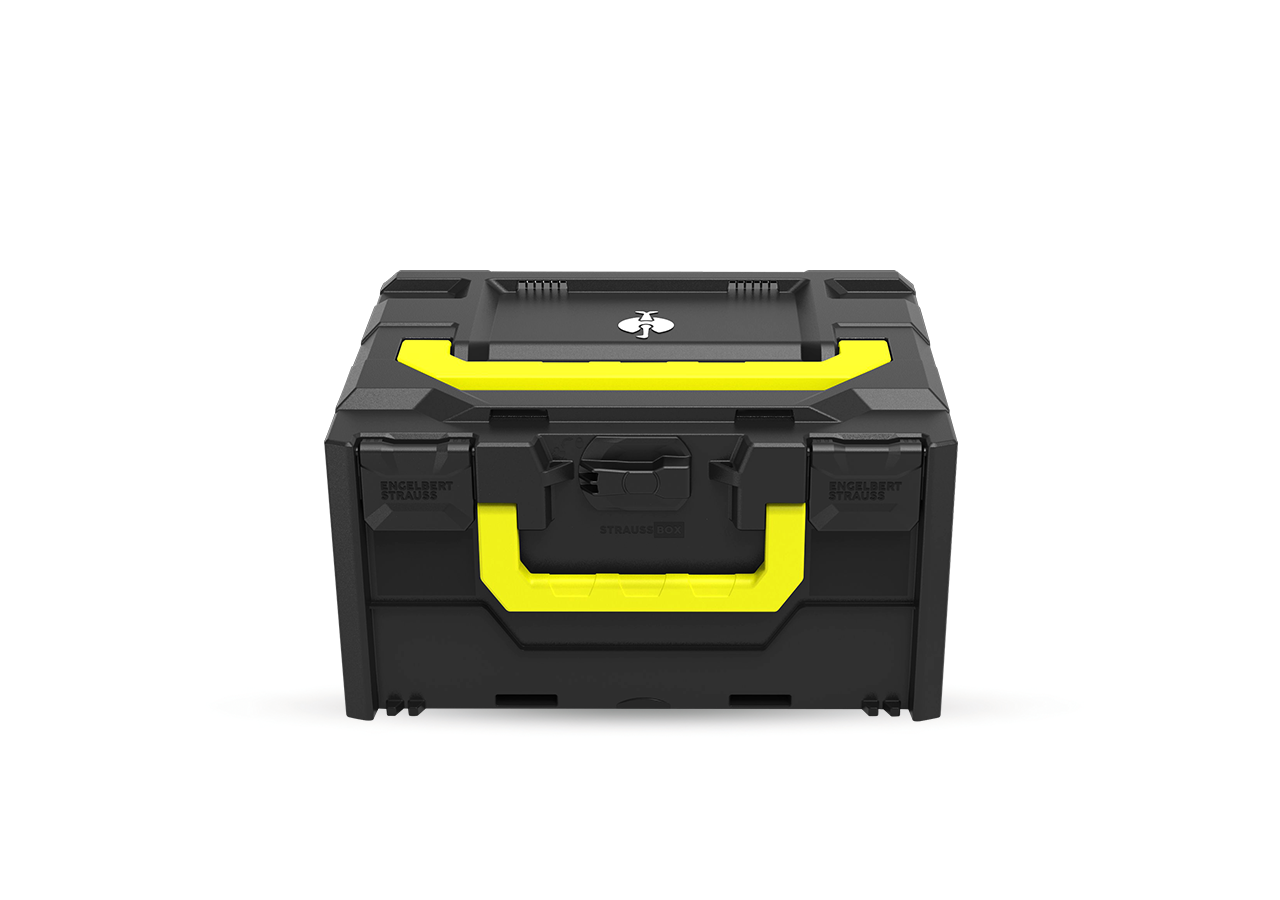 STRAUSSbox System: STRAUSSbox 215 midi Color + sort
