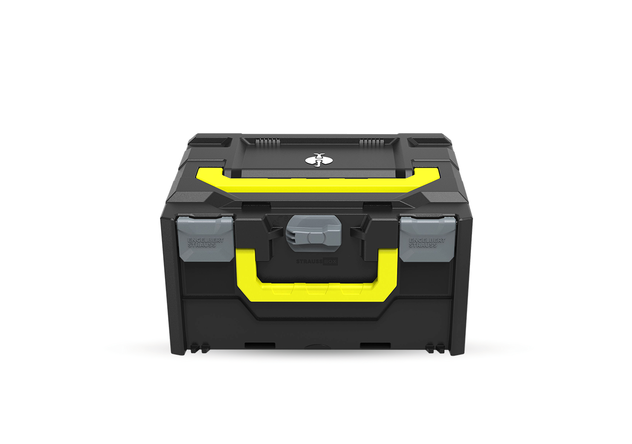 STRAUSSbox System: STRAUSSbox 215 midi Color + antracit