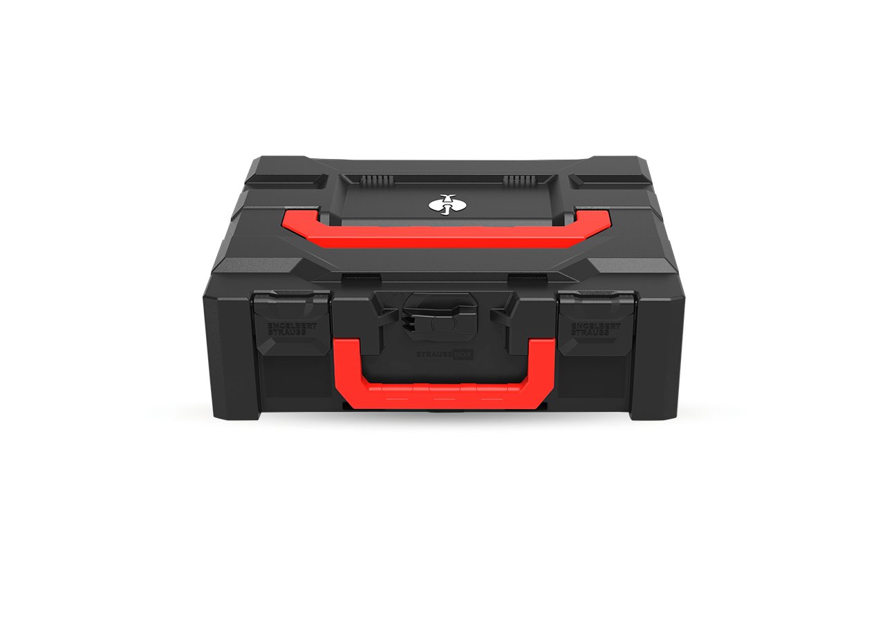 STRAUSSbox System: STRAUSSbox 145 midi+ Color + black