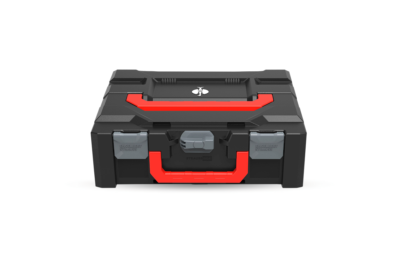 STRAUSSbox System: STRAUSSbox 145 midi+ Color + antracit