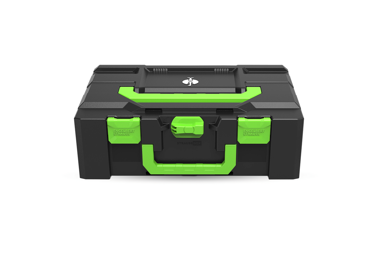 STRAUSSbox System: STRAUSSbox 165 large Color + havgrøn
