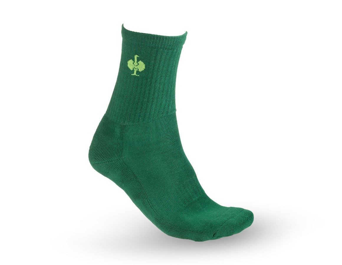 Socks: e.s. Allround socks Classic light/high + green/seagreen