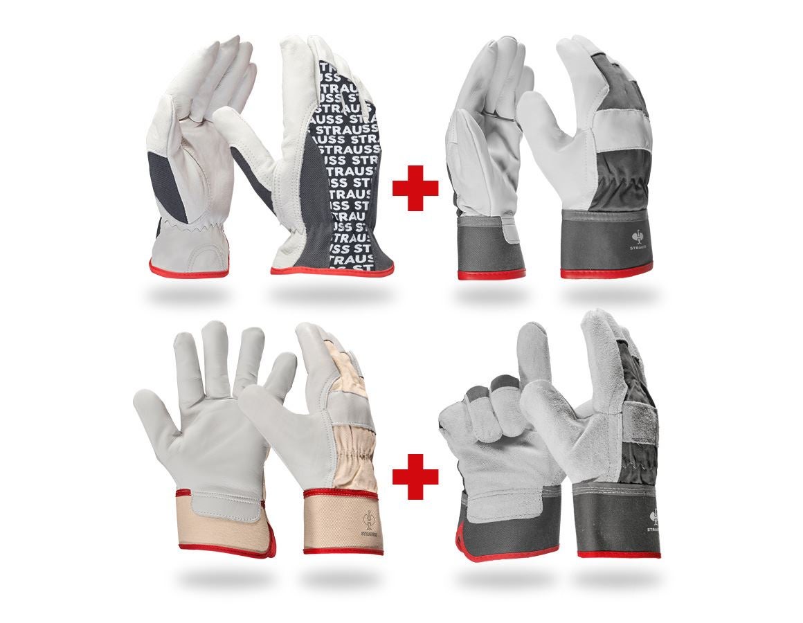 Personal Protection: Gloves – professional set leather