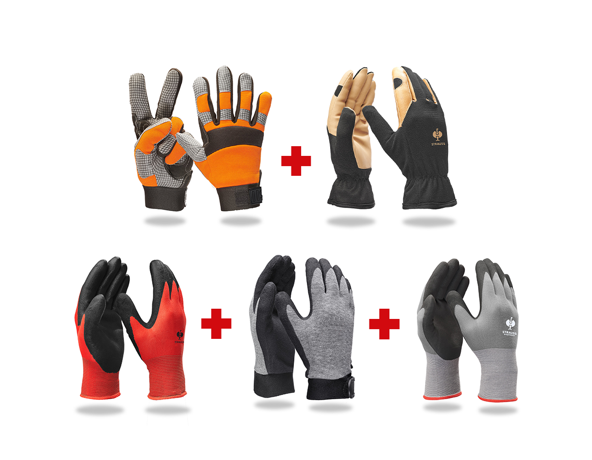 Personal Protection: Gloves – professional set assembly II