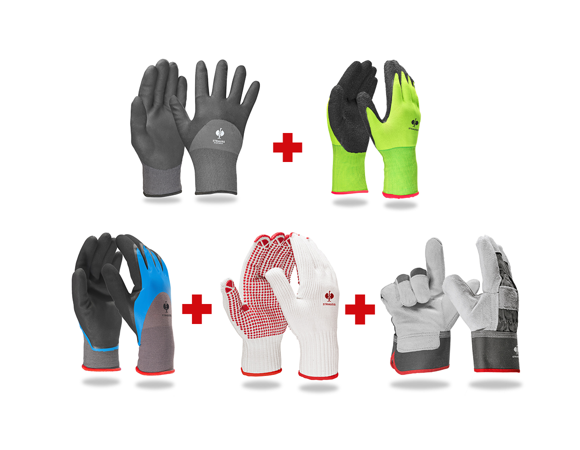 Sets | Accessories: Professional glove set garden II