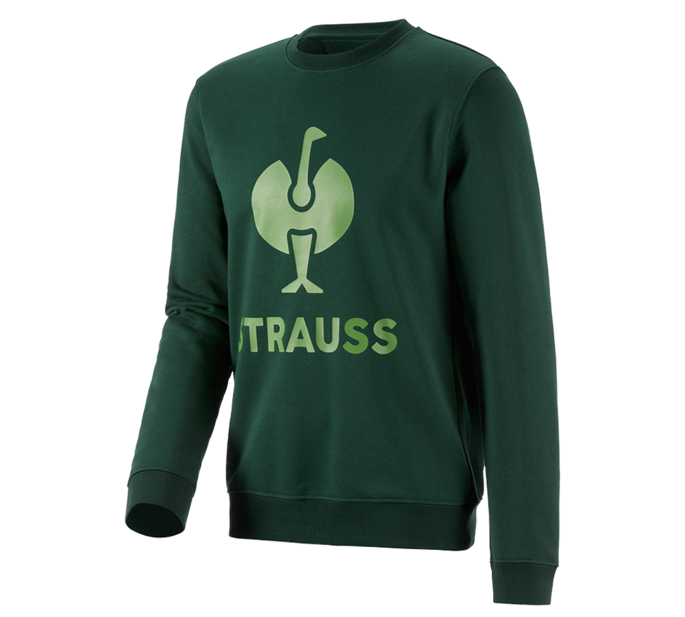 T-Shirts, Pullover & Skjorter: Sweat-shirt e.s.motion 2020 + grøn/havgrøn