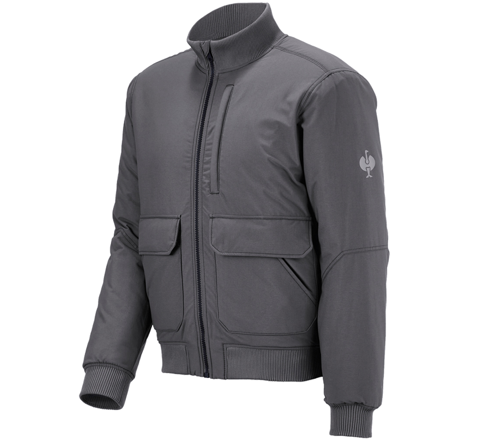 Topics: Pilot jacket e.s.iconic + carbongrey