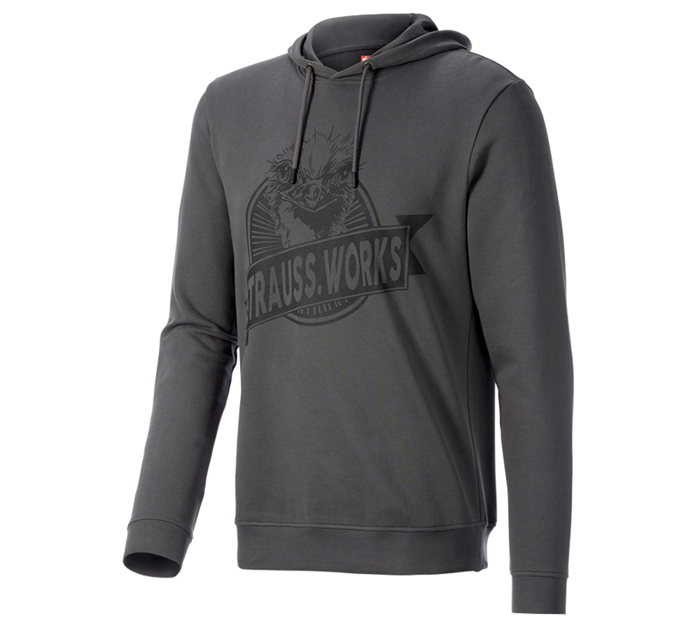 Beklædning: Hoody-Sweatshirt e.s.iconic works + karbongrå