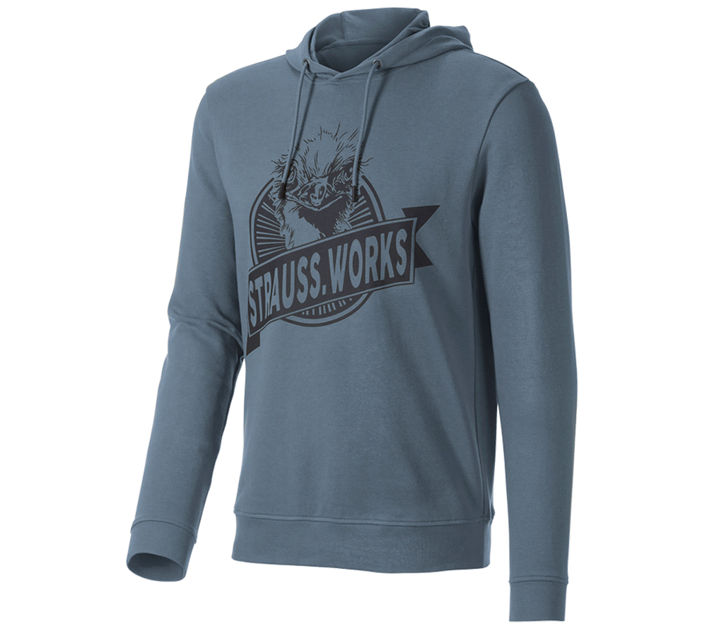 Beklædning: Hoody-Sweatshirt e.s.iconic works + oxidblå