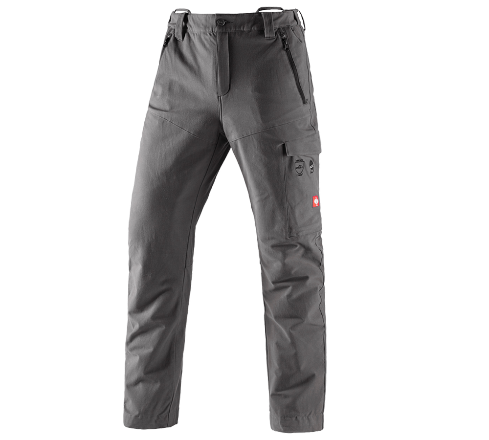 Gardening / Forestry / Farming: Forestry cut protection trousers e.s.cotton touch + carbongrey