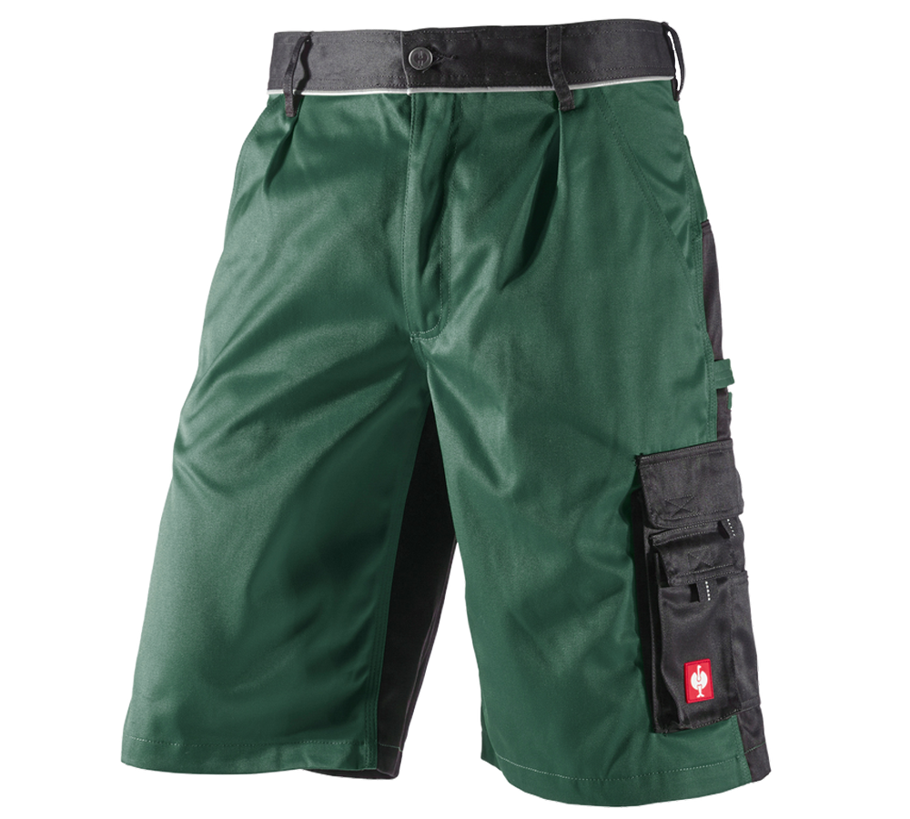 Arbejdsbukser: Shorts e.s.image + grøn/sort