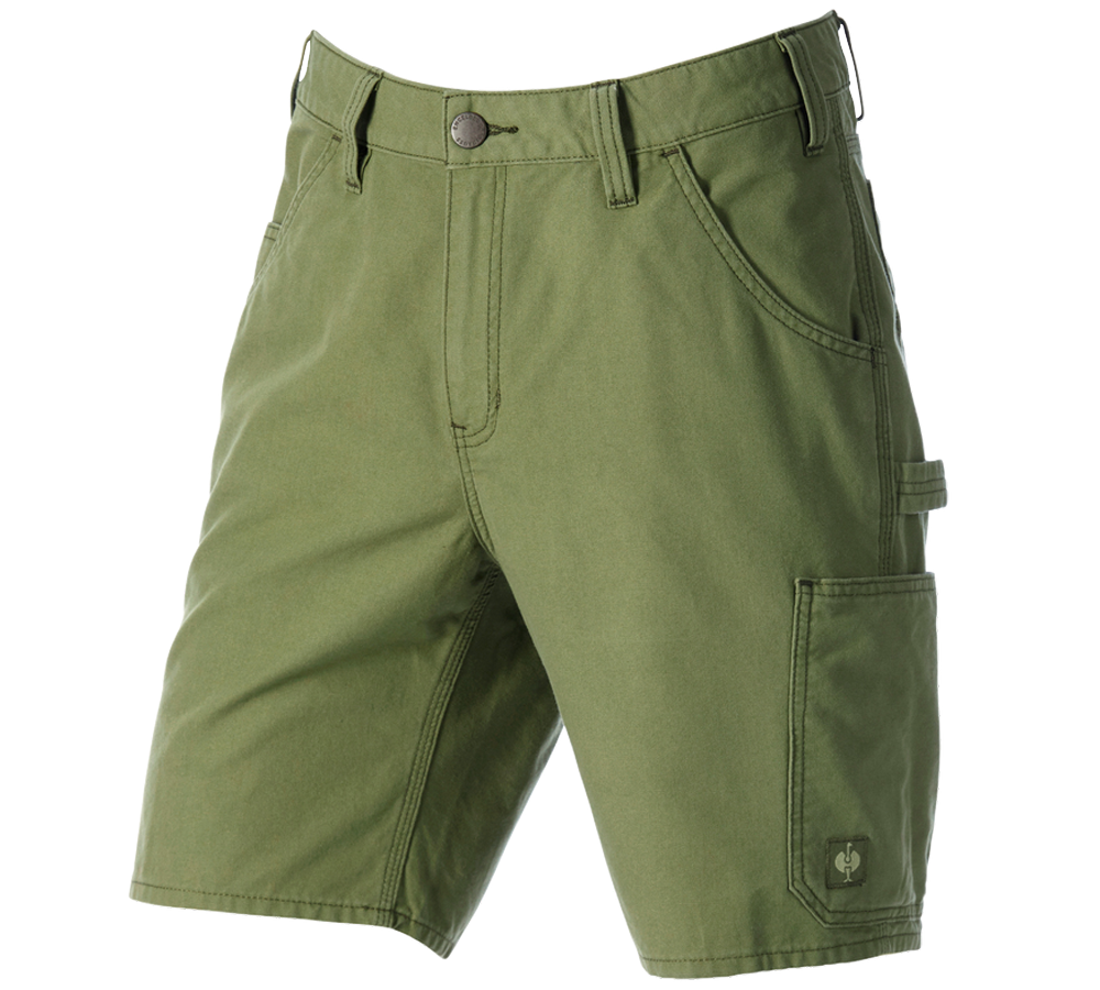 Work Trousers: Shorts e.s.iconic + mountaingreen