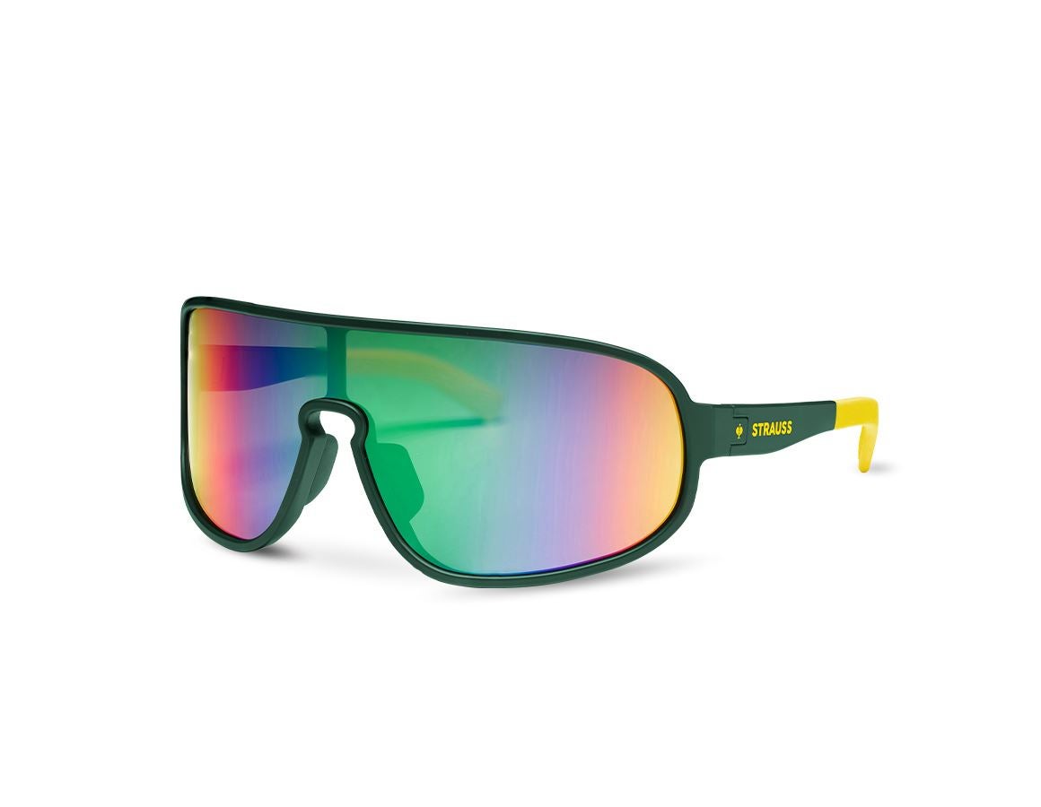 Arbejdsbeskyttelse: Race solbriller e.s.ambition + grøn
