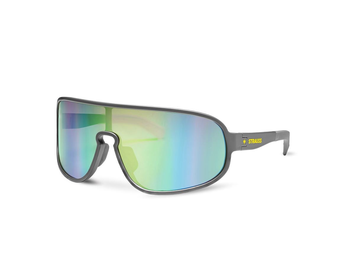 Sikkerhedsbriller: Race solbriller e.s.ambition + antracit