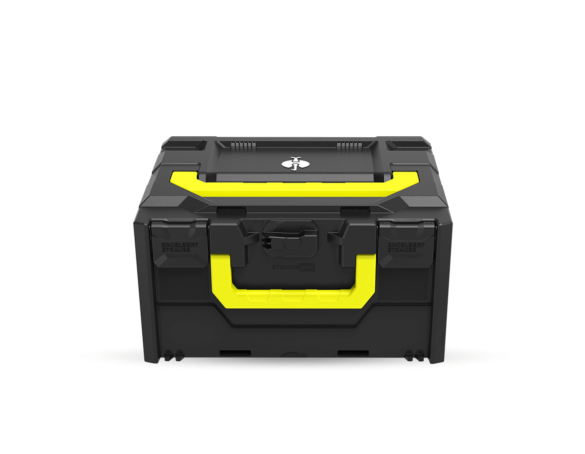 STRAUSSbox System: STRAUSSbox 215 midi Color + sort