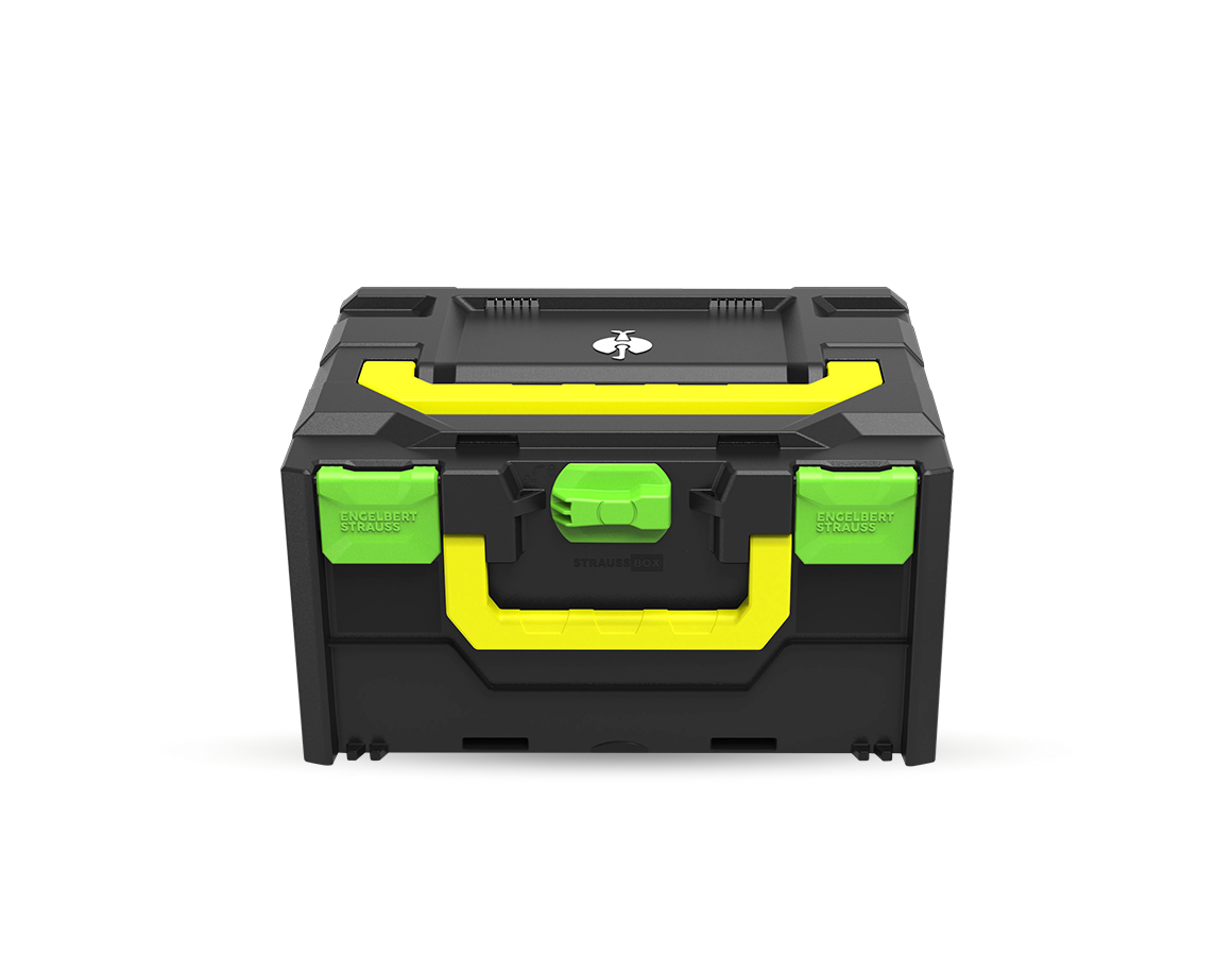 STRAUSSbox System: STRAUSSbox 215 midi Color + havgrøn