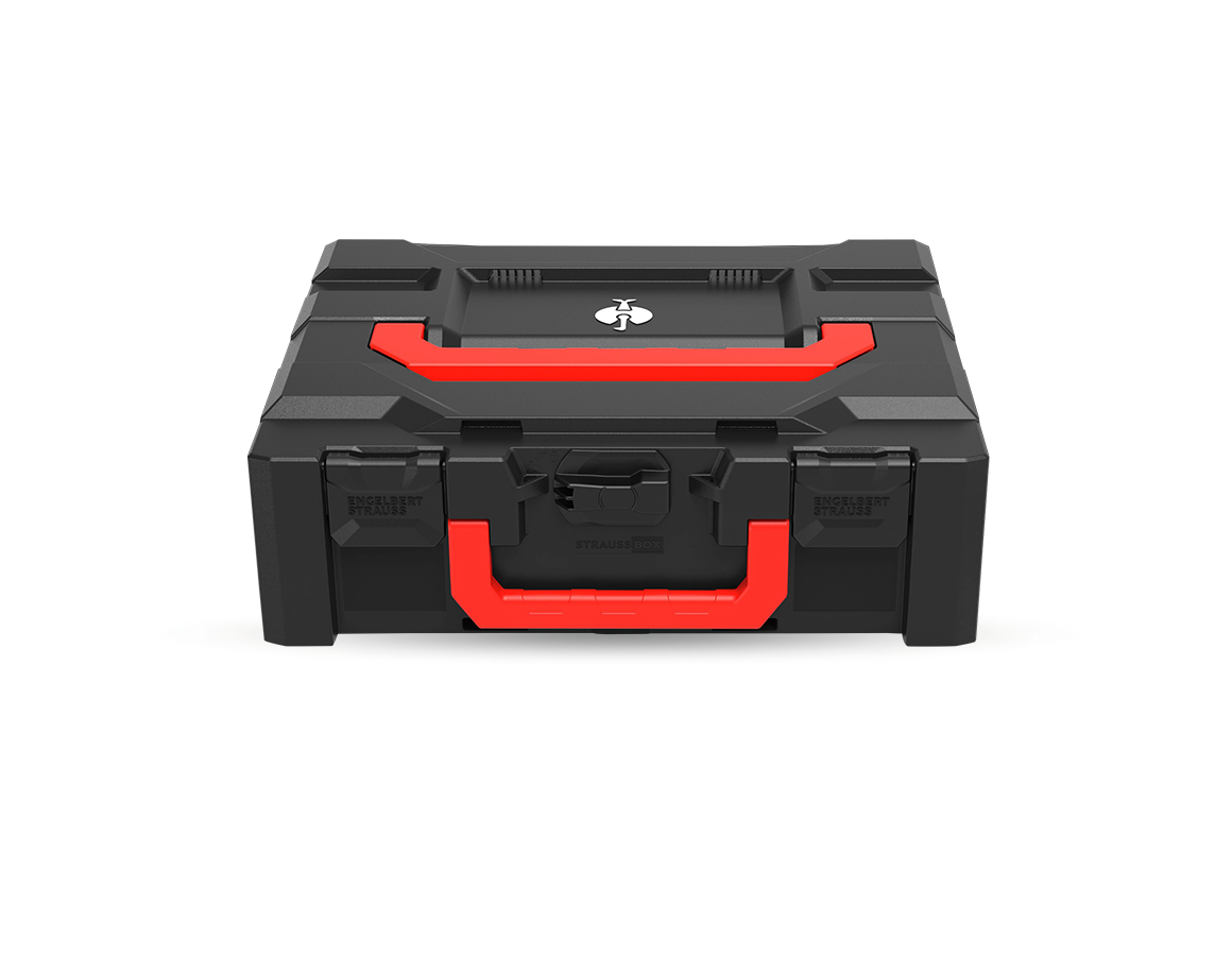 STRAUSSbox System: STRAUSSbox 145 midi+ Color + black