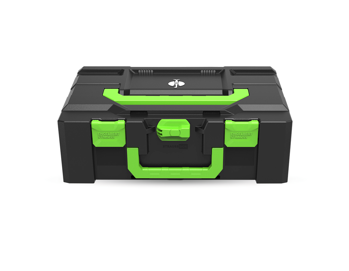 STRAUSSbox System: STRAUSSbox 165 large Color + havgrøn