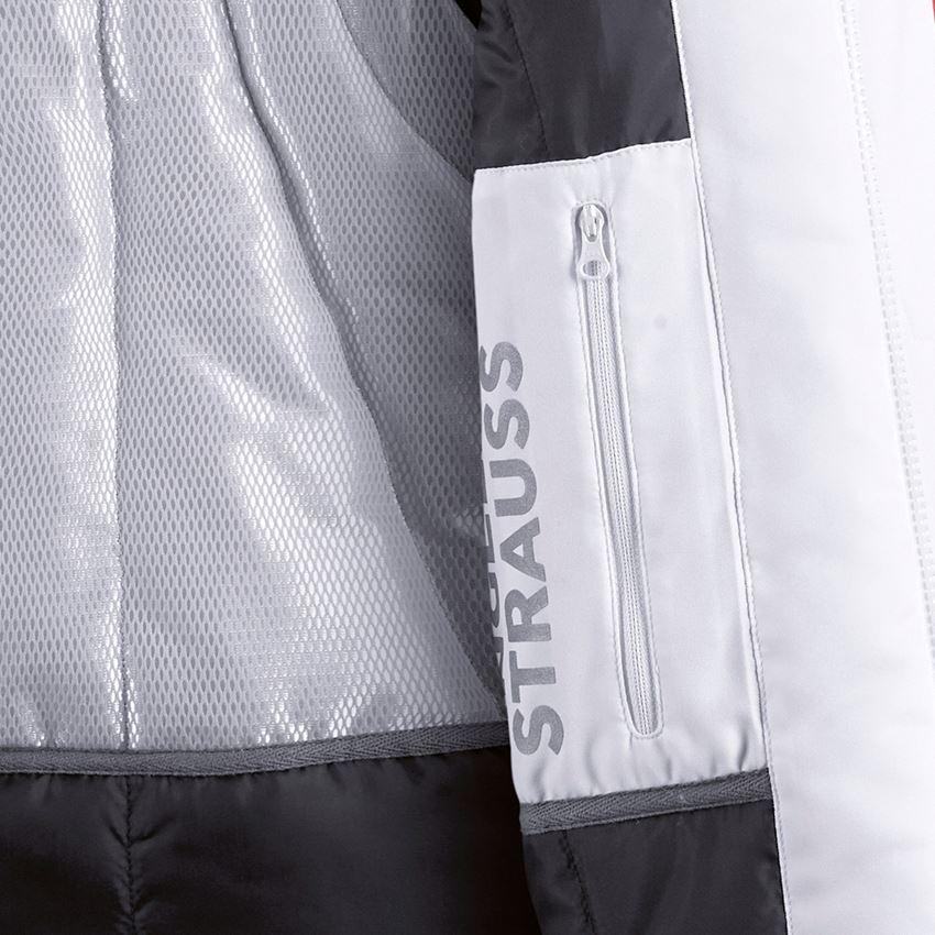 Work Jackets: Softshell jacket e.s.motion + white/grey 2