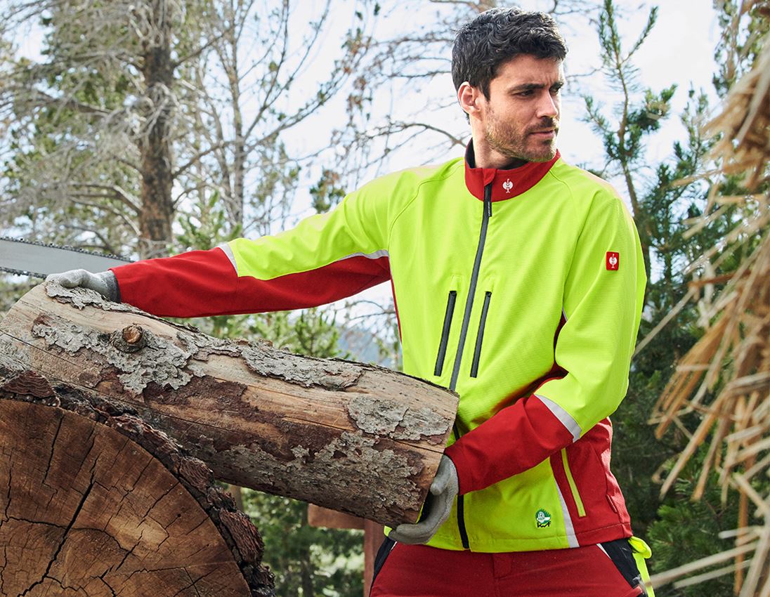 Forestry / Cut Protection Clothing: e.s. Forestry jacket, KWF + red/high-vis yellow 1