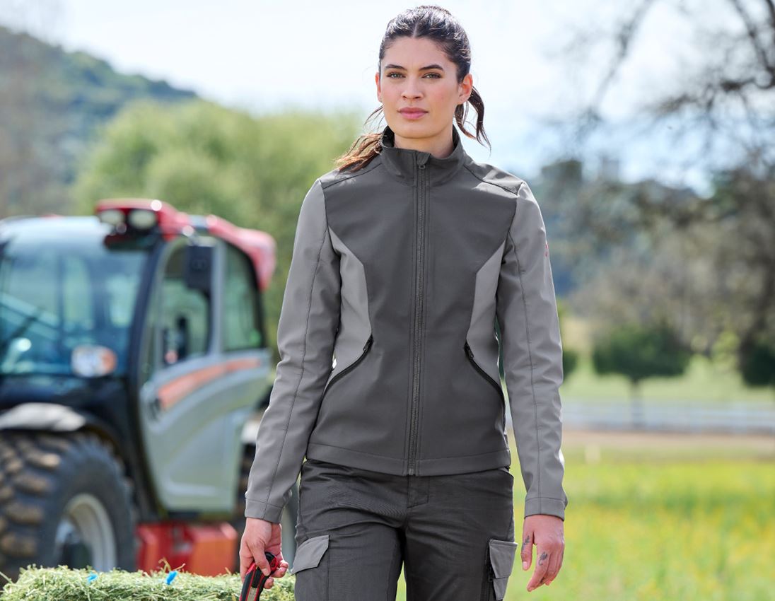 Clothing: Softshell jacket e.s.trail pure, ladies' + carbongrey/basaltgrey