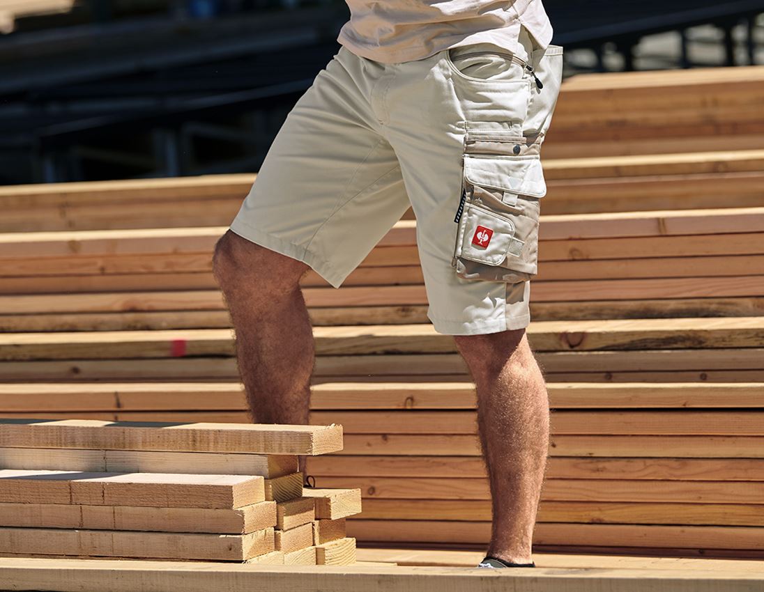 Tømrer / Snedker: Shorts e.s.motion + gips/ler