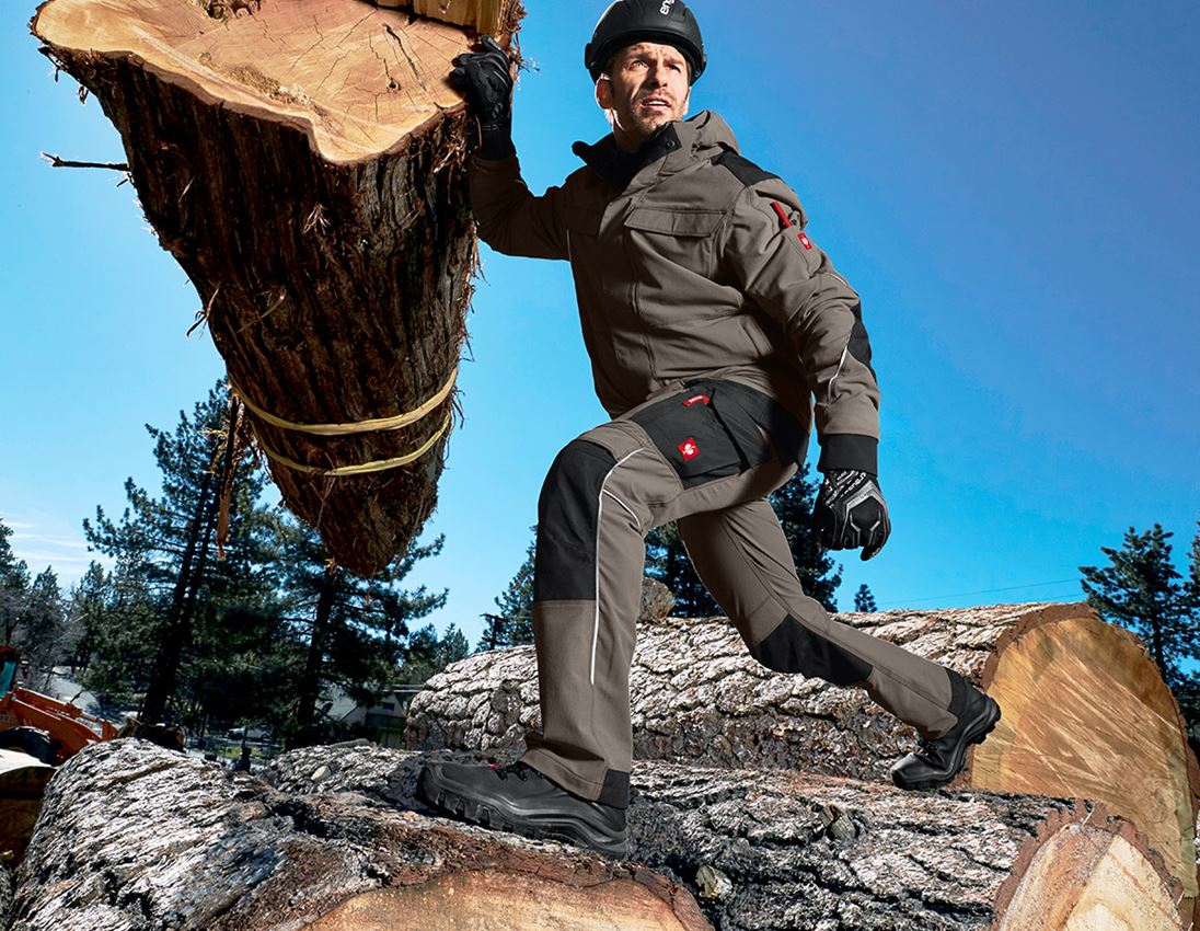 Gardening / Forestry / Farming: Functional trousers e.s.dynashield + stone/black 1