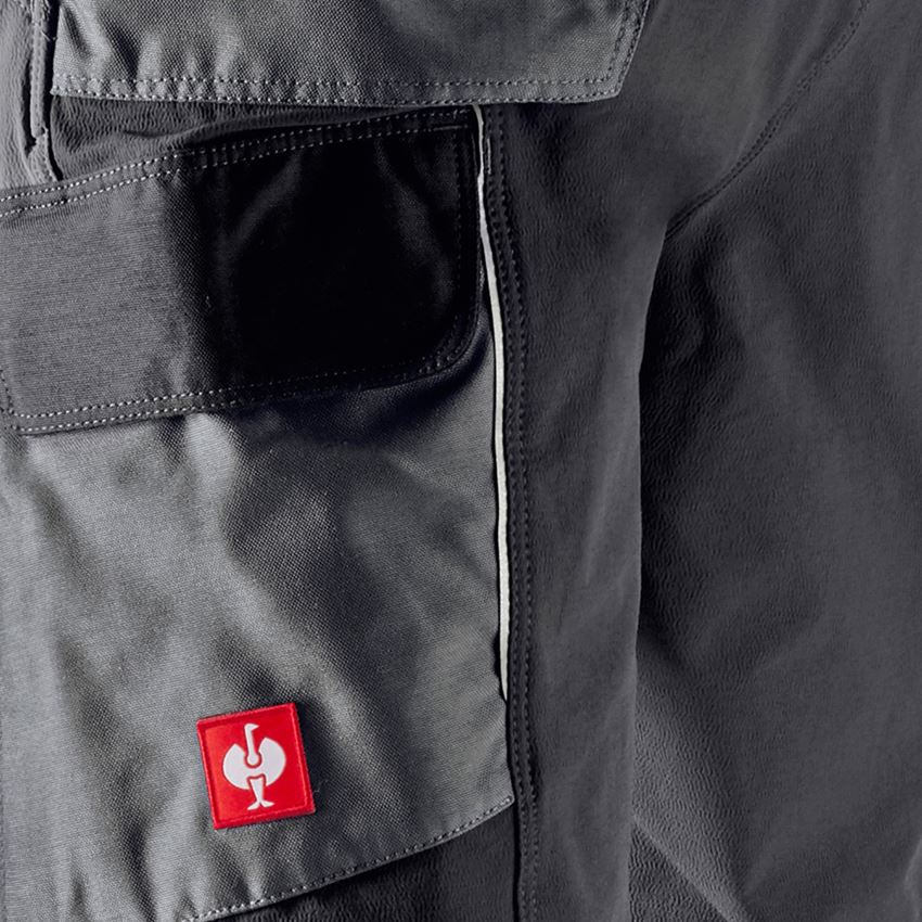 Gardening / Forestry / Farming: Functional cargo trousers e.s.dynashield + cement/graphite 2