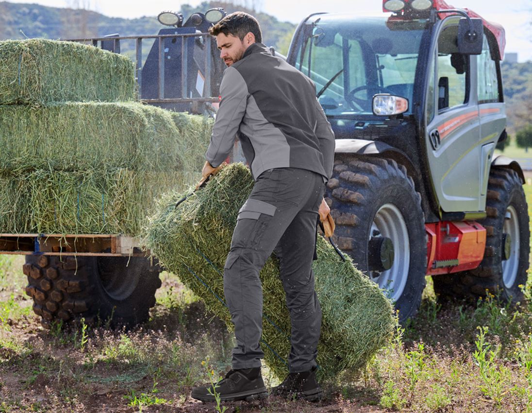 Work Trousers: Trousers e.s.trail pure + carbongrey/basaltgrey 2