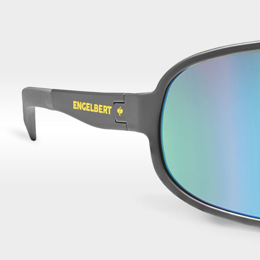 Sikkerhedsbriller: Race solbriller e.s.ambition + antracit 2
