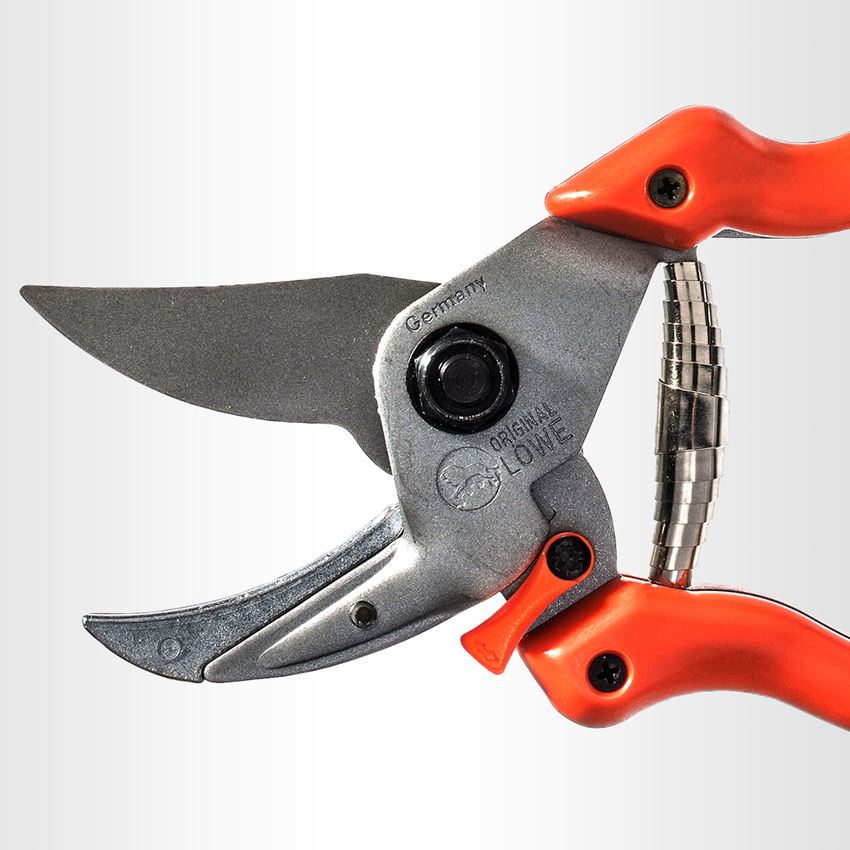 Scissors: Anvil shears Löwe 8 2