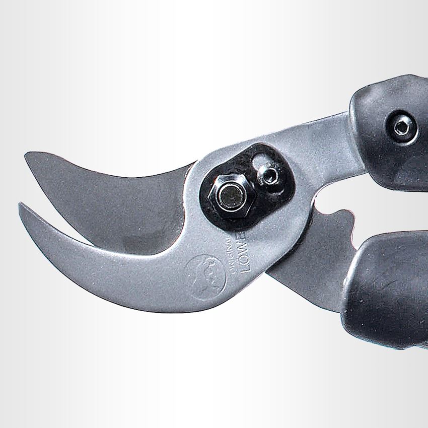 Scissors: Bypass pruning shears Löwe 21 2