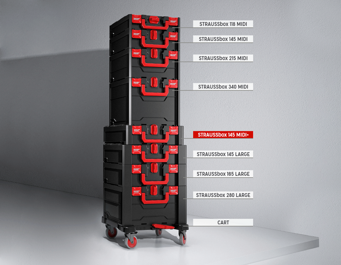 STRAUSSbox System: Topnøglesæt pro 1/4+3/8+1/2 in STRAUSSbox 3