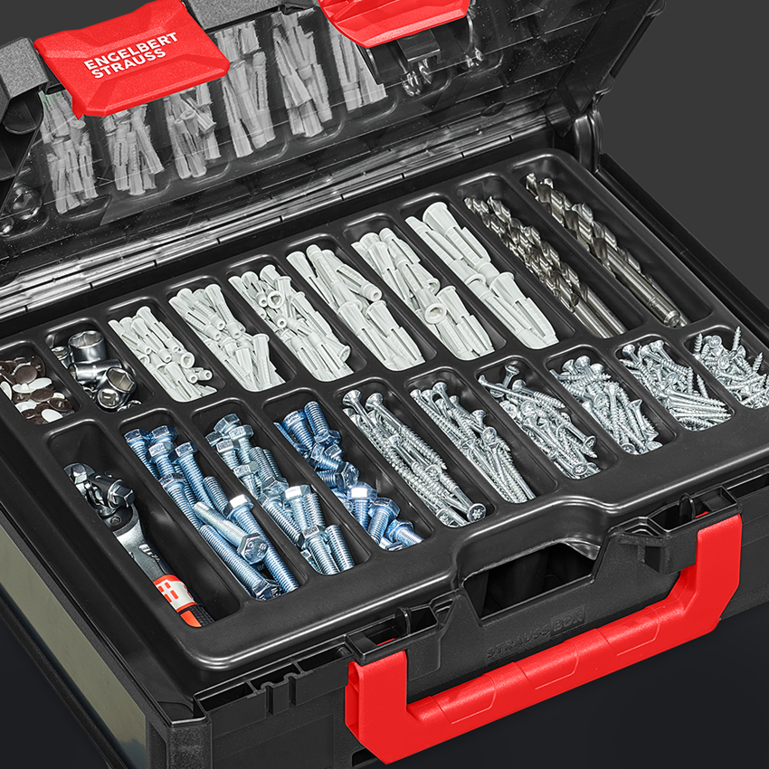 Værktøj: STRAUSSbox tool insert 20 rum midi 118 2
