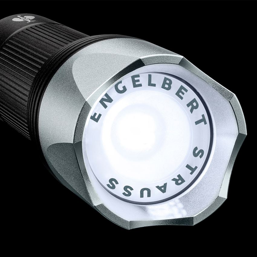 Lamps | lights: e.s. LED battery-operated torch FL5 2