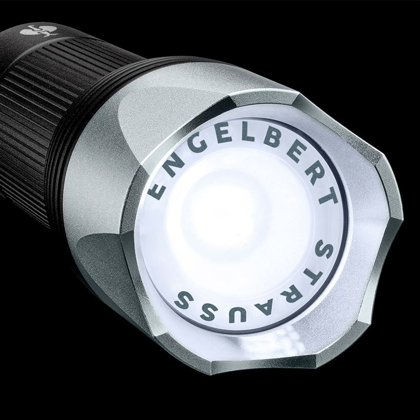 Lamper | lys: e.s. LED-stavlommelygte FL4+ 2