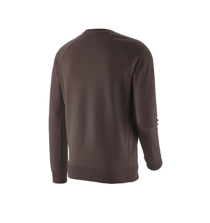 T-Shirts, Pullover & Skjorter: e.s. Sweatshirt cotton stretch + kastanje 6