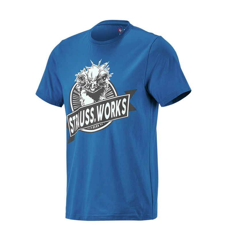 Beklædning: e.s. T-shirt strauss works + ensianblå