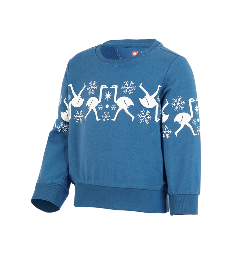 Til de små: e.s. norsk sweatshirt, børne + baltikblå 2