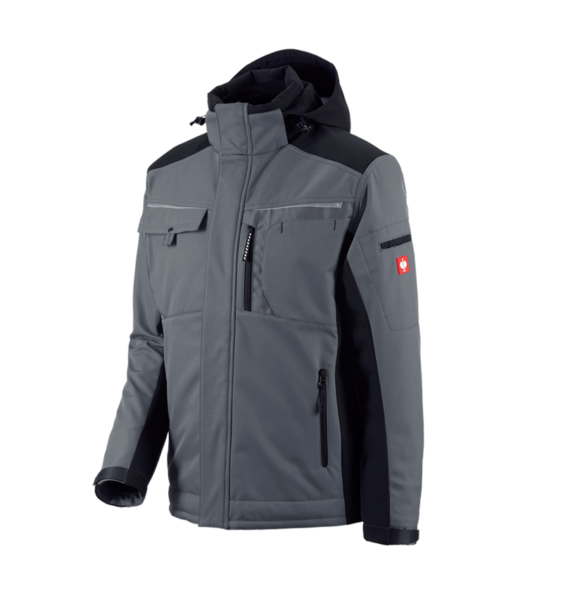 Cold: Softshell jacket e.s.motion + grey/black 2