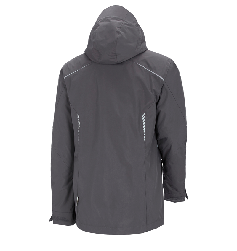 Gardening / Forestry / Farming: 3 in 1 functional jacket e.s.motion 2020, men's + anthracite/platinum 2