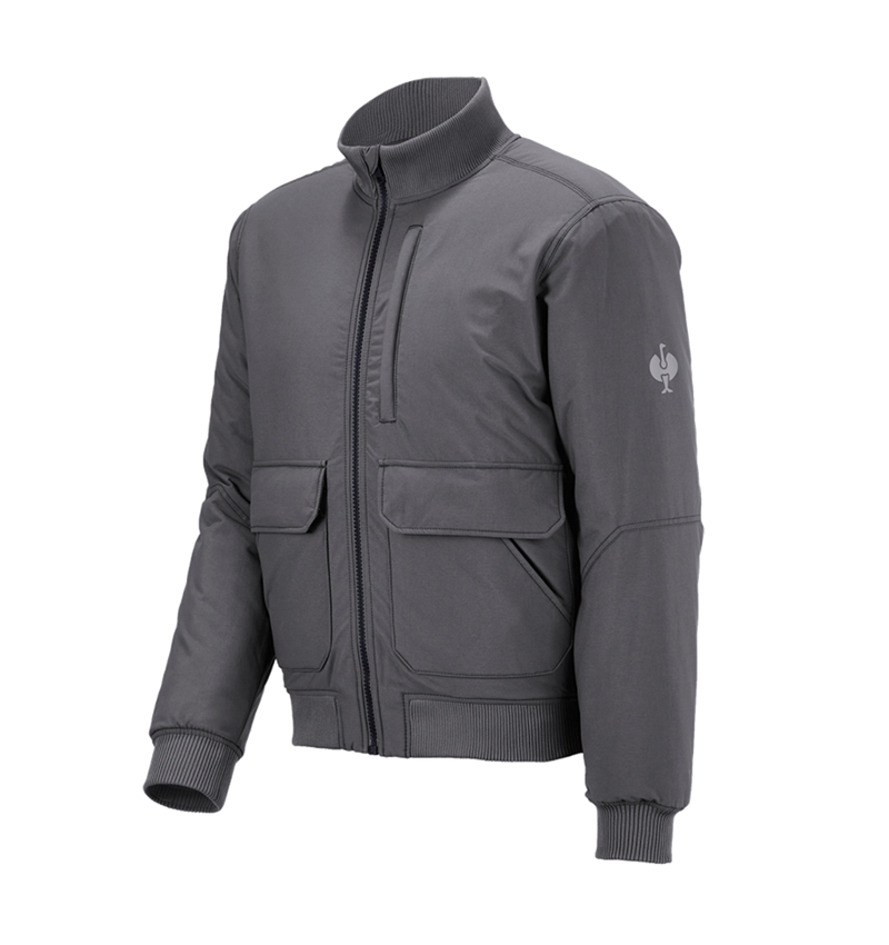 Topics: Pilot jacket e.s.iconic + carbongrey 4