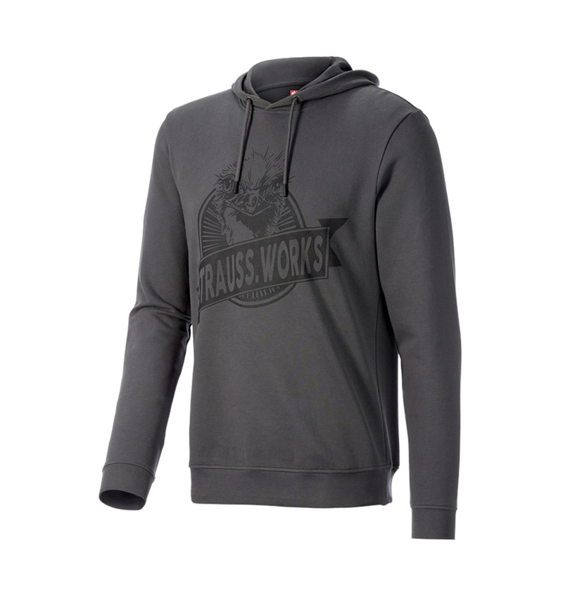 T-Shirts, Pullover & Skjorter: Hoody-Sweatshirt e.s.iconic works + karbongrå 3