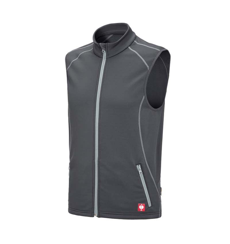 Joiners / Carpenters: Function bodywarmer thermo stretch e.s.motion 2020 + anthracite/platinum 2