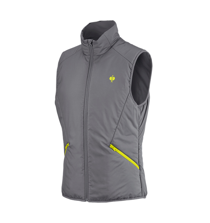 Topics: Bodywarmer e.s.trail + basaltgrey/acid yellow 4