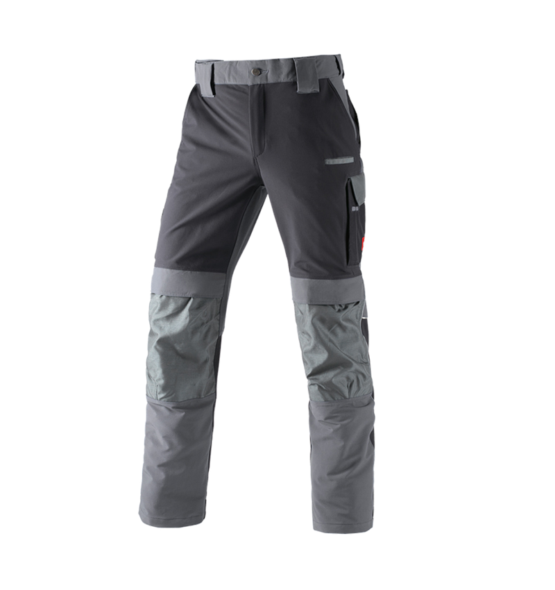 Gardening / Forestry / Farming: Functional trousers e.s.dynashield + cement/graphite 1