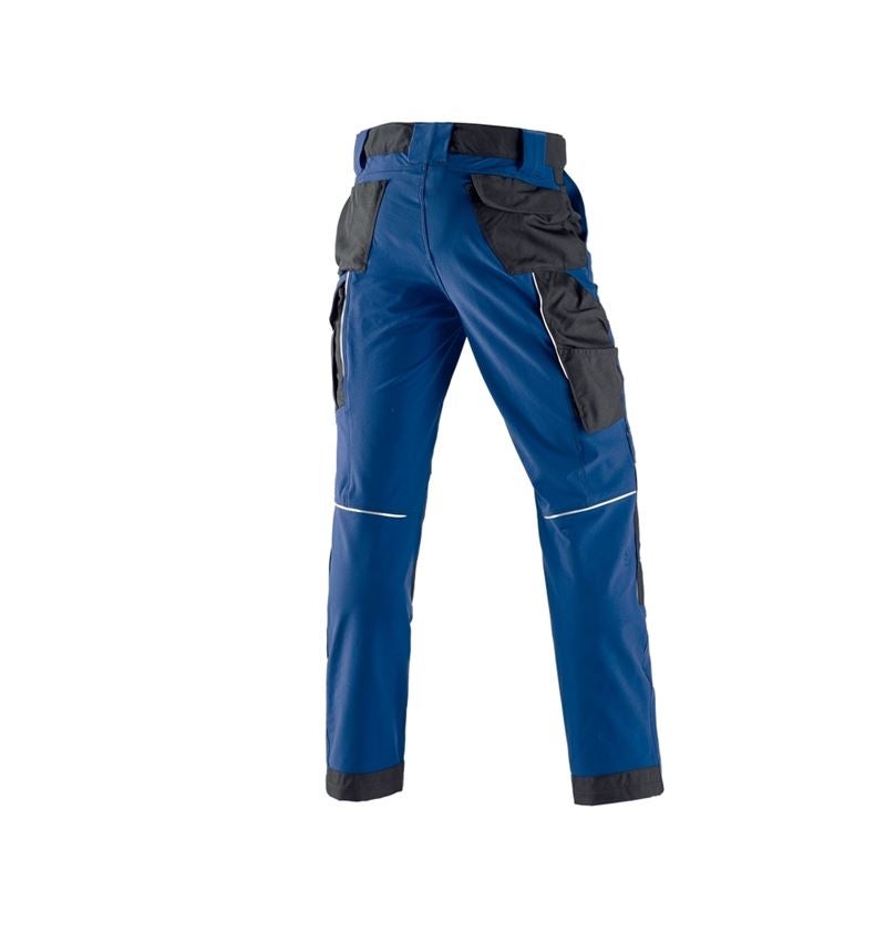 Gardening / Forestry / Farming: Functional trousers e.s.dynashield + royal/black 3