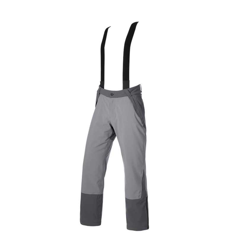 Work Trousers: Functional trousers e.s.trail snow + carbongrey/basaltgrey 5